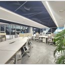 일동제약 사거리 이미지