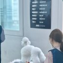 울산애견미용학원