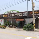 느티나무청과