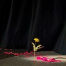 홍도 | 고선웅 연출 연극 홍도 솔직 후기, 예술의전당에서 만난 최하윤·홍의준·임진구·정보석의 신파극