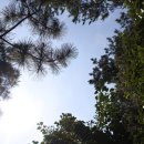 천마산 물놀이장 이미지