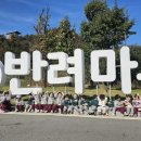 동물은내친구 이미지