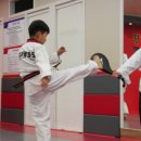 최강태권도 이미지