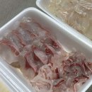 다대씨파크 이미지