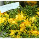 중앙꽃집 이미지