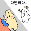 더플라스틱클라이밍 이미지