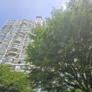 샘마을 쪽 이미지