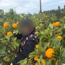 신희농장 이미지