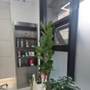 로로살롱 이미지