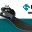 중앙의지보조기 이미지