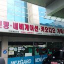 노변주유소 이미지