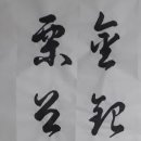 금은조제 이미지