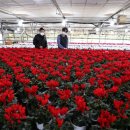 김영철농장 이미지