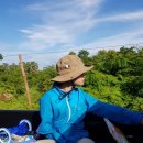 오렌지별장 이미지