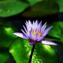 윤*학 - 안양시 만안구 충훈로71번길 | 윤*학
