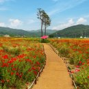 나라꽃 미니정원 이미지