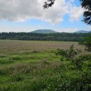 와흘본향당 | 제주도 숨은명소 추천 (힐링, 여행, 트렌드)