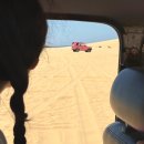 지내목장 | 나트랑Day_3 판랑사막단독투어 /양떼목장 / 포롱자라이사원/ 톰콩로식당 /OLACafe /목식당 /탄카페