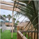 에이지하우스 키즈 이미지