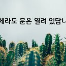 작가 수첩 들여다보기 | 여행작가와 함께하는 카톡 온라인 글쓰기모임 <딱 세 줄만 4기> 후기, 언제라도 문은 열려 있답니다