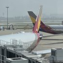 최신영화 밀수 | 아시아나 OZ501 인천→파리 직항 탑승 후기｜기내식·어메니티·출발 지연까지 총정리