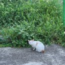 쉼어묵 양산역점 네이버블로그