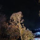 하늘궁몽블랑호텔 이미지