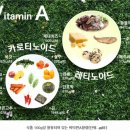 노랑당근야채과일 이미지