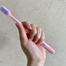 올바른 양치법 극세모 칫솔 겟잇클린 사용후기