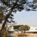 반송동236 이미지