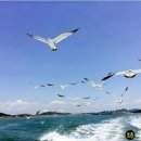 바다로펜션 이미지