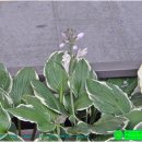 퇴계로1 이미지