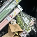홉학원 | 일상모음집 | 어버이날 꽃다발 만들기, 강아지 간식 학원, 집밥, 대전•공주•세종•청주•증평 이곳...