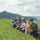 지내들영농조합법인 이미지