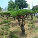 박신규농장 이미지