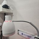 서현마디튼튼재활의학과의원 이미지