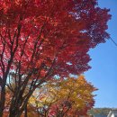 나곡초교입구 삼거리(상가쪽) | 능선사거리~용문굴삼거리~낙조산장~낙조대~용문굴삼거리~칠성봉전망대삼거리소~용문골입구~주차장 6.97k...