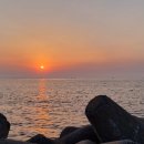 지티행정사사무소 이미지