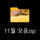 스타벅스 동아대병원점 | 11월 일상 모음zip