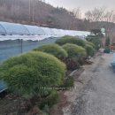 이팝농장 이미지