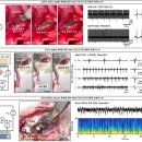 용성바이오 이미지
