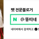 멍멍바개뜨 이미지