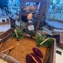 라임 | 용인 대형카페 라임그라스 후기｜아름다운 정원 뷰와 구황작물 빵 맛집