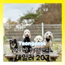 데일리 207 이미지