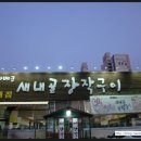 새내골