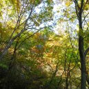 얼음골산장 이미지