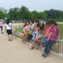 삼호서초등학교 이미지