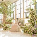 로하스 | [돌 스냅 추천] 돌잔치 스냅사진 후기 🤍로하스냅🤍 솔직 리뷰