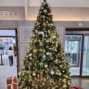 동양가든 | 영종도 대형카페 동양염전베이커리카페, 주말 빵지순례 다녀온 솔직 후기