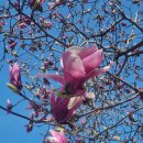 화원중학교 이미지